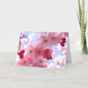Rosa Frühlingsblüte Feiertagskarte