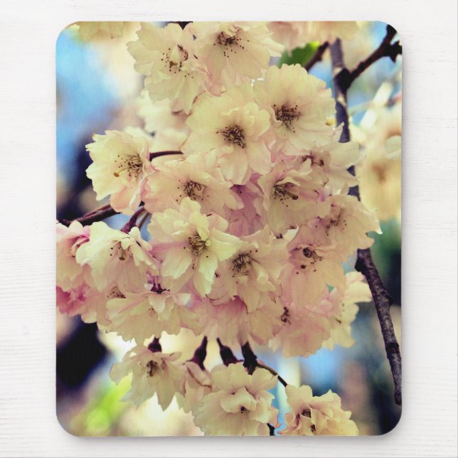 Rosa Frühlingsblüten Blume Mousepad (Vorne)
