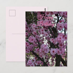 Rosa Frühlingsblütenbaum, Geburtstagspostkarte Postkarte