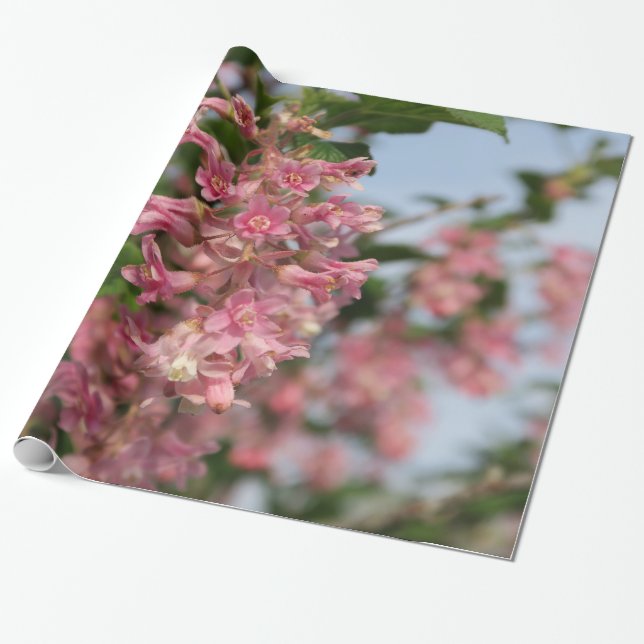 rosa Frühlingssäule Blume Geschenkpapier (Ungerollt)