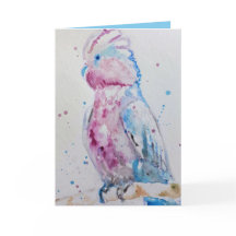Rosa Galah Parrot Bird-Farbe Geburtsdatum
