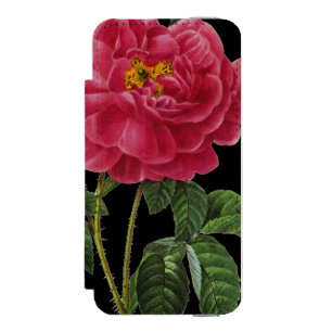 Rosa Gallica Incipio Watson™ iPhone 5 Geldbörsen Hülle