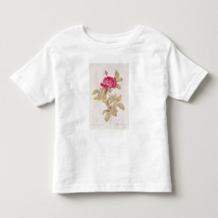 Rosa Gallica Pontiana, von 'Les Rosen Kleinkind T-shirt