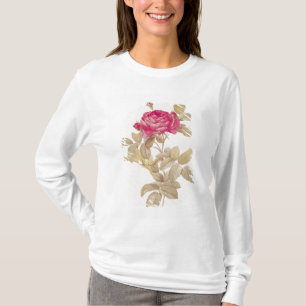Rosa Gallica Pontiana, von 'Les Rosen T-Shirt