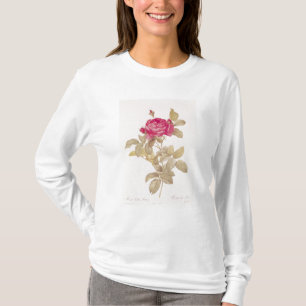 Rosa Gallica Pontiana, von 'Les Rosen T-Shirt