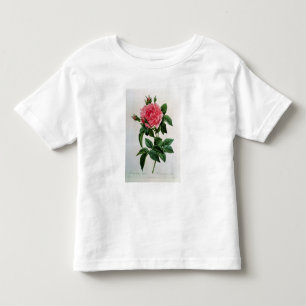 Rosa Gallica Regallis Kleinkind T-shirt