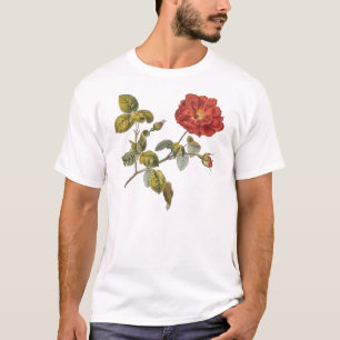 Rosa Gallica Schöne Rote Antike Vintage Rose T-Shirt