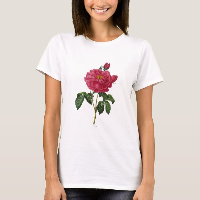 Rosa Gallica T-Shirt (Vorderseite)
