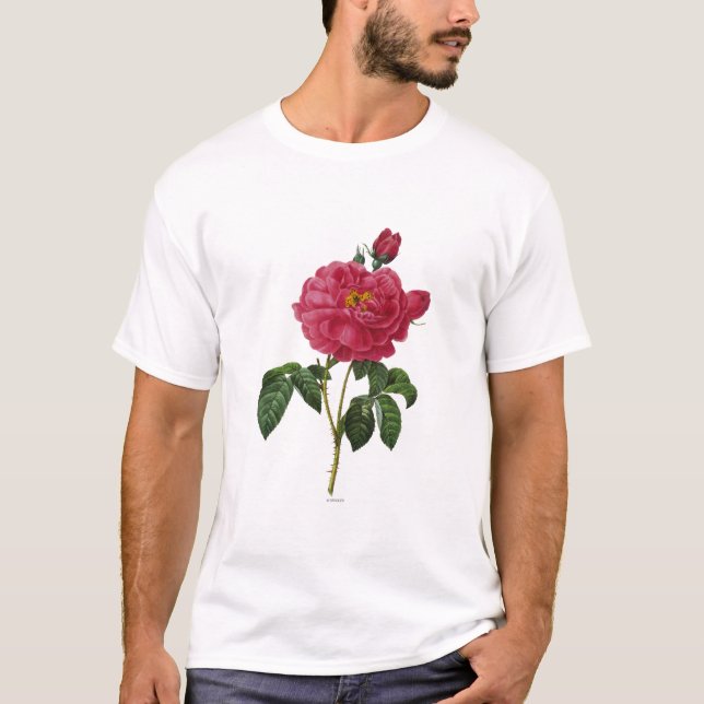 Rosa Gallica T-Shirt (Vorderseite)