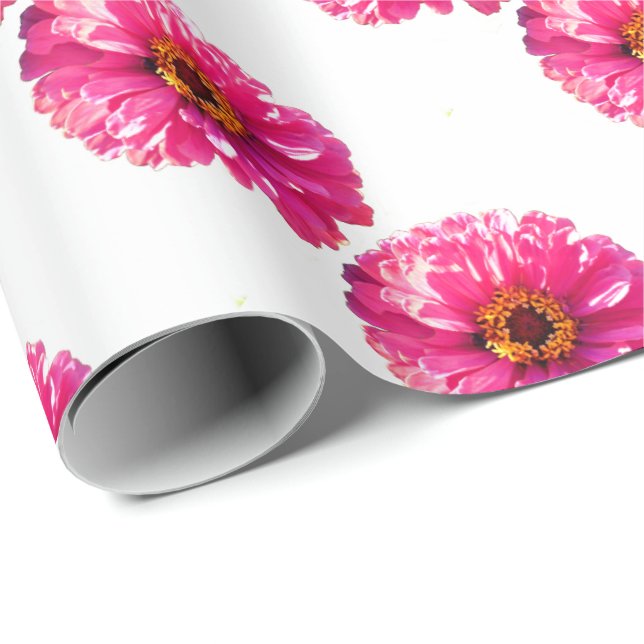 Rosa Gänseblümchen Geschenkpapier (Rolleneckpunkt)