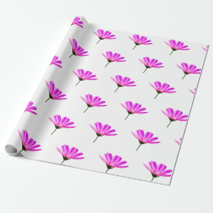Rosa Gänseblümchen Geschenkpapier