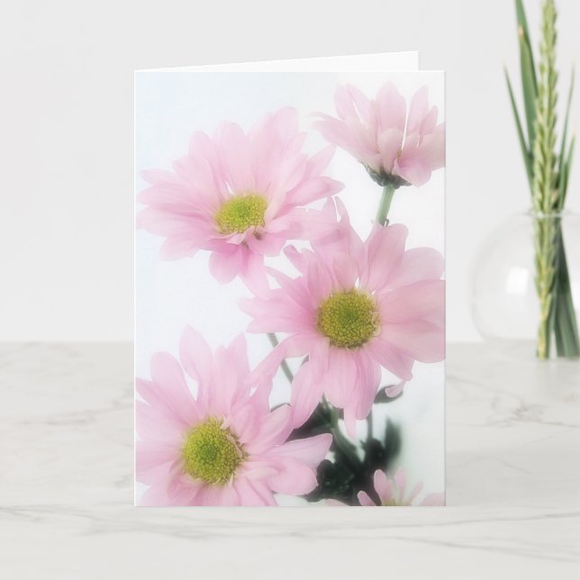 Rosa Gänseblümchen Karte (Vorderseite)