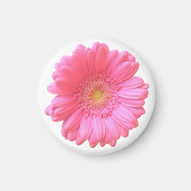 Rosa Gänseblümchen Magnet (Vorne)