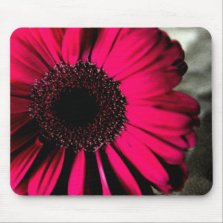 Rosa Gänseblümchen Mousepad