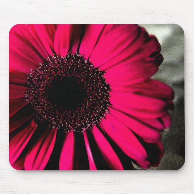 Rosa Gänseblümchen Mousepad (Vorne)