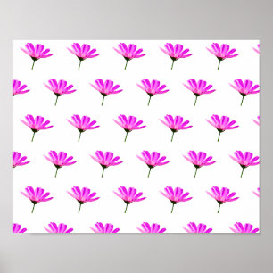 Rosa Gänseblümchen Poster