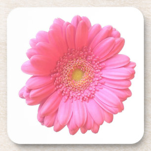 Rosa Gänseblümchen Untersetzer