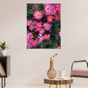 Rosa Garden Blume Foto Wohngestaltung Poster