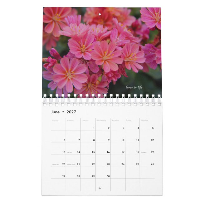 Rosa Garden Blume Kalender (Jun 2027)