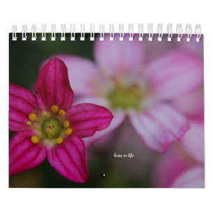 Rosa Garden Blume Kalender