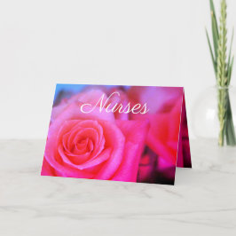 Rosa Garden Rose Foto Karte