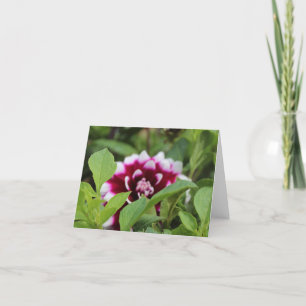 Rosa Garten Daliha Mütter Tag Feiertagskarte