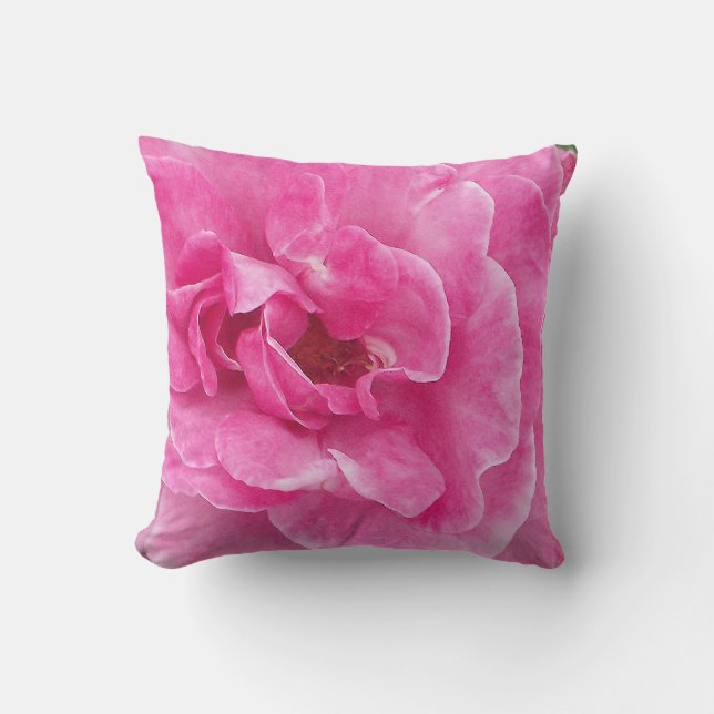 Rosa-Garten-Rose Kissen (Vorderseite)