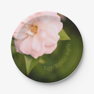 Rosa-Garten-Rose Pappteller