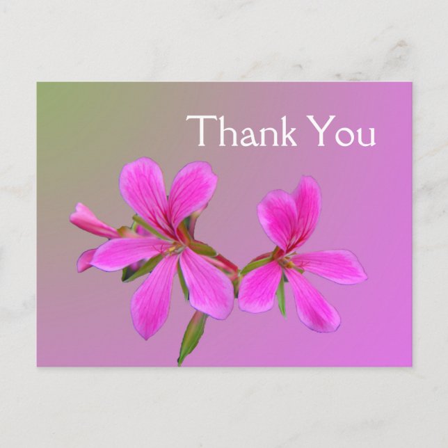 Rosa Gartengarten Blume danke Ihnen Postkarten. Postkarte (Vorderseite)
