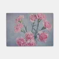 Rosa Gartennelken