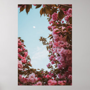 Rosa geblätterte Blume Poster