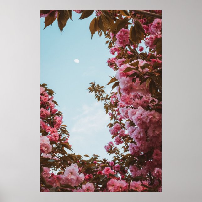 Rosa geblätterte Blume Poster (Vorne)