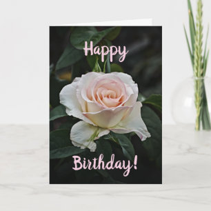 Rosa Geburtstagskarte Rose Geburtstag Karte