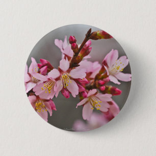 Rosa gegen einen grauen Himmel Japanische Kirschbl Button