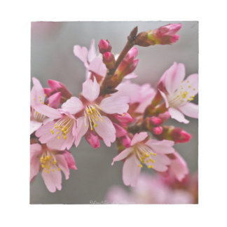 Rosa gegen einen grauen Himmel Japanische Kirschbl Notizblock