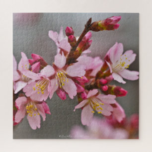 Rosa gegen einen grauen Himmel Japanische Kirschbl Puzzle