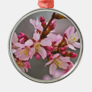 Rosa gegen einen grauen Himmel Japanische Kirschbl Silbernes Ornament