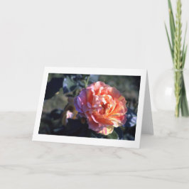 Rosa geklappte leere Grußkarte Karte