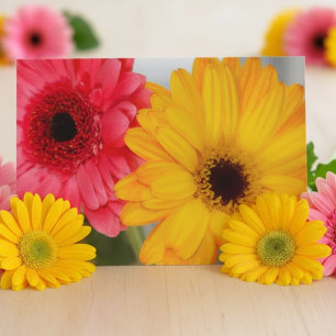 Rosa Gelbe Gerbera Daisy Freundschaft Helle Blumen Karte