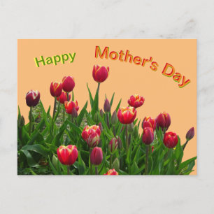 Rosa Gelbe Lila Tulips Muttertag Postkarte