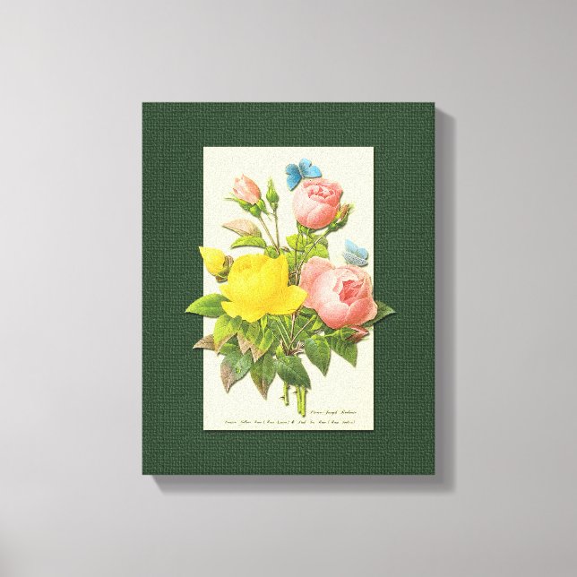Rosa Gelbe Rose Botanische Kunst gezackte Canvas Leinwanddruck (Vorderseite)