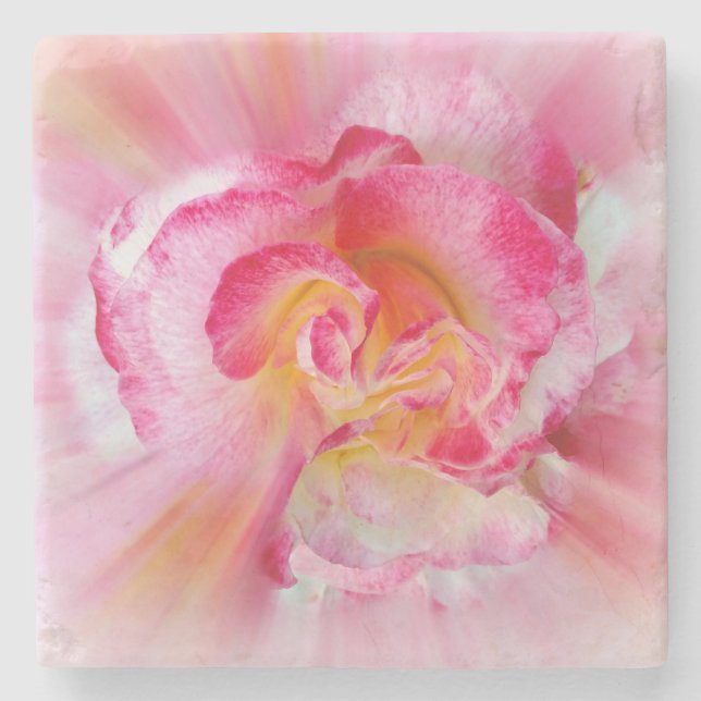 Rosa gelbe Rose Steinuntersetzer (Vorderseite)