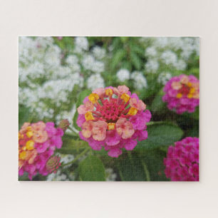 Rosa Gelbe und weiße Blume im Garten Puzzle