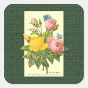 Rosa gelbe Vintage botanische Rose Aufkleber