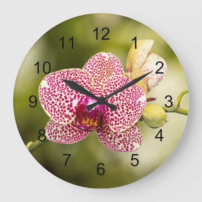 Rosa gepunktete Orchidee  Große Wanduhr (Vorderseite)