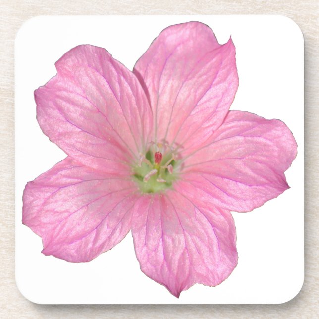 Rosa Geranium Getränkeuntersetzer (Vorderseite)