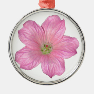 Rosa Geranium Silbernes Ornament