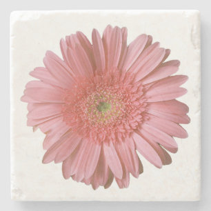 Rosa Gerber Daisy Stone Untersetzer