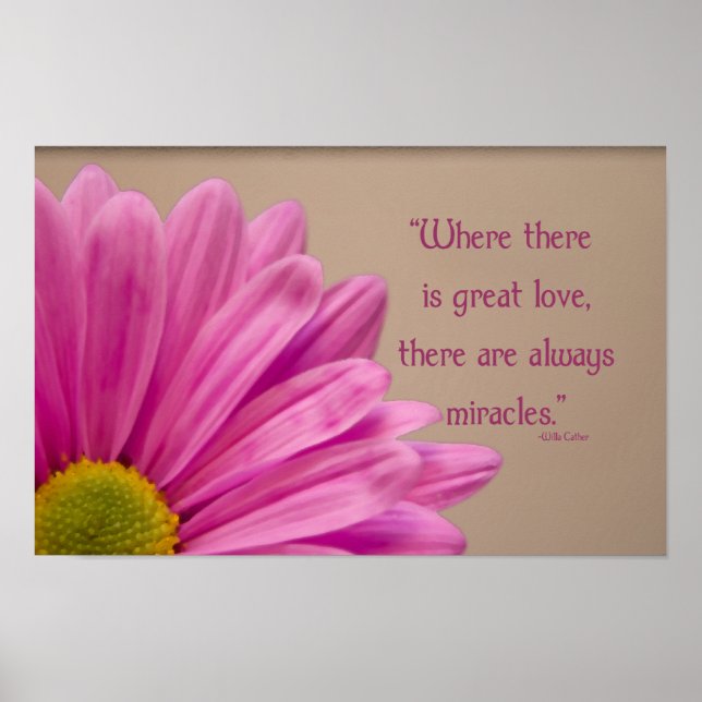 Rosa Gerber Daisy Wunder Poster (Vorne)
