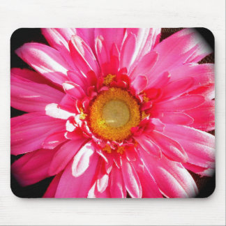 Rosa Gerber Gänseblümchen Mousepad